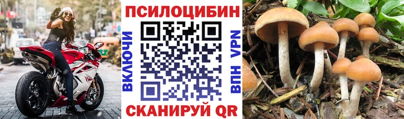 Галлюциногенные грибы Psilocybine cubensis  Купить где  Конаково 